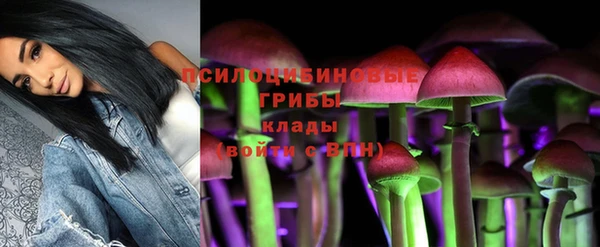 стаф Алексин