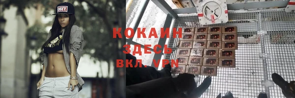 соль курить ск Алзамай