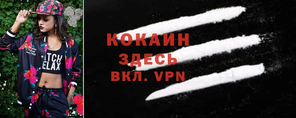 стаф Алексин