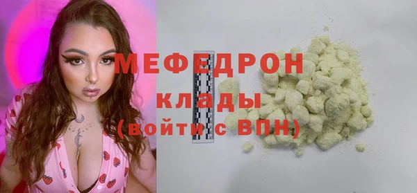 стаф Алексин