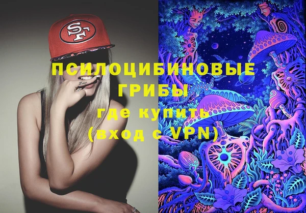 соль курить ск Алзамай