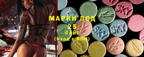 стаф Алексин