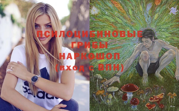 стаф Алексин