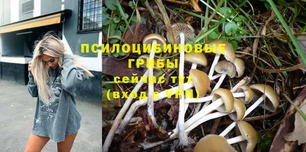 соль курить ск Алзамай
